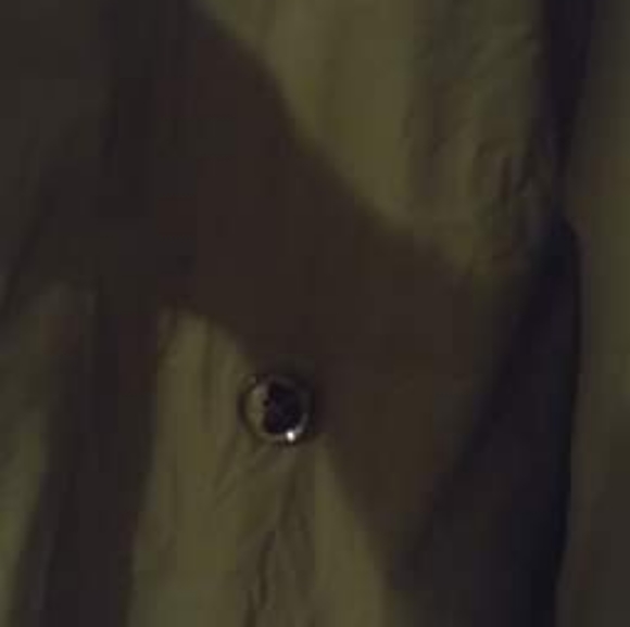 Coat - Picture 3 of 5